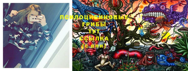 прущие грибы Нязепетровск