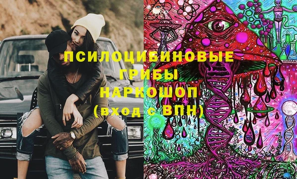 прущие грибы Нязепетровск