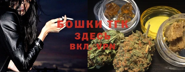 твердый Осинники