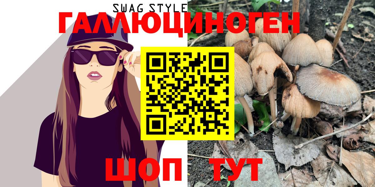 Псилоцибиновые грибы Psilocybe  Саранск 