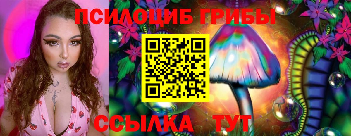 Псилоцибиновые грибы ЛСД Саранск