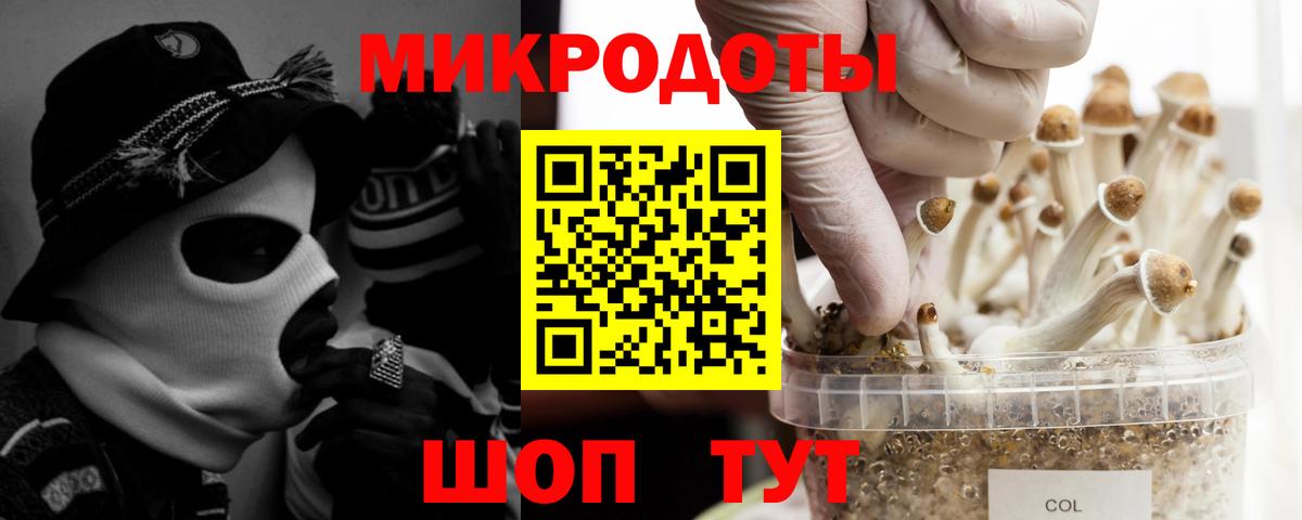 Псилоцибиновые грибы Cubensis  Вход с VPN  Саранск 